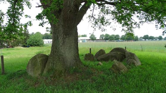Nartum (Dolmen / Quoit / Cromlech)