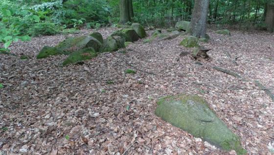 Ostereistedt (Passage Grave)