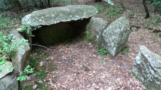 Gnarrenburg (Chambered Tomb)