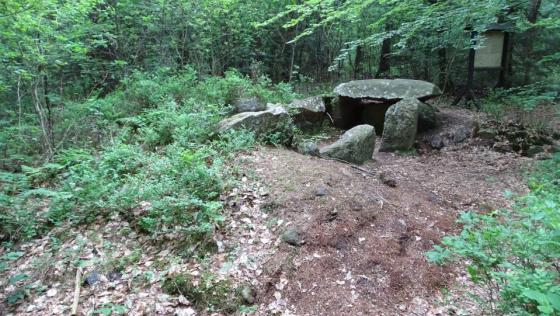 Gnarrenburg (Chambered Tomb)