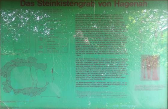 Hagenah (Cist)