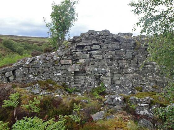 Caisteal na Coille (Broch)