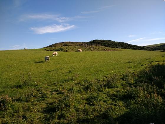 Mire Loch (Hillfort)