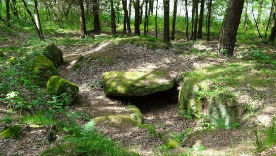 Horneburg 4 (Passage Grave)