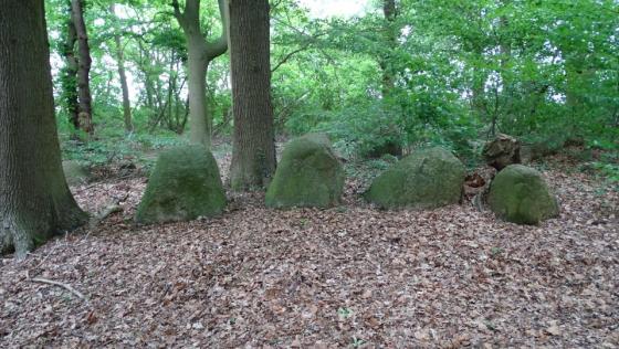 Bliedersdorf 3 (Long Barrow)