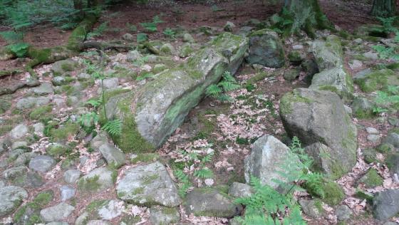Rade (Cist)