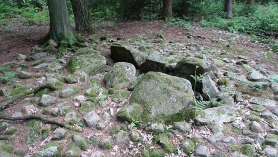 Rade (Cist)