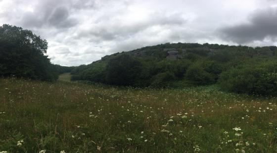Cahercommaun (Stone Fort / Dun)