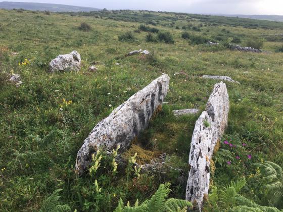 Parknabinnia (Cl. 66) (Wedge Tomb)