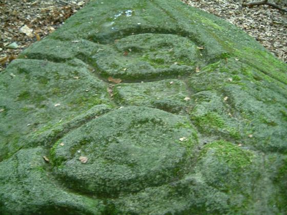 Ecclesall Woods (Cup and Ring Marks / Rock Art)