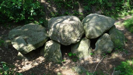 Westerwanna 05 (Passage Grave)
