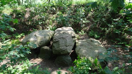 Westerwanna 05 (Passage Grave)