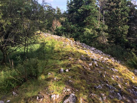Moylehid (Ring Cairn)