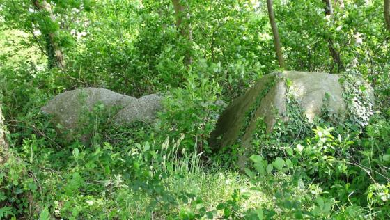 Westerwanna 06 (Passage Grave)