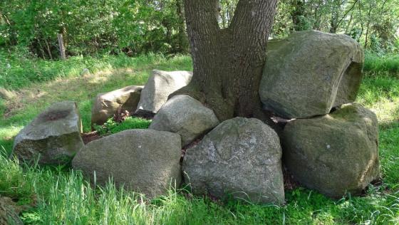 Westerwanna 07 (Passage Grave)