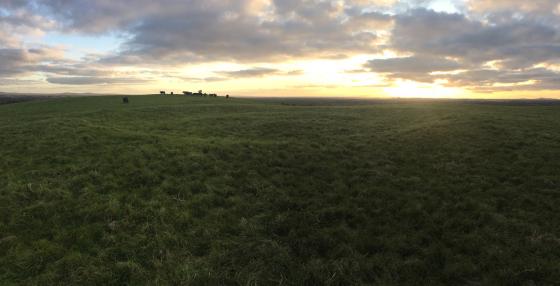 Carbury Hill (Round Barrow(s))