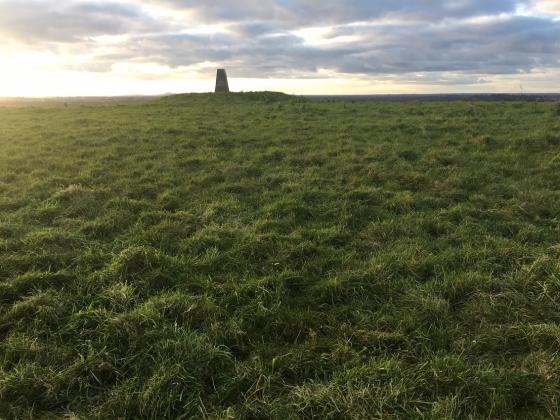 Carbury Hill (Round Barrow(s))