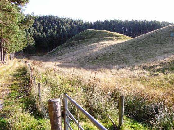 Torran Ban (Hillfort)