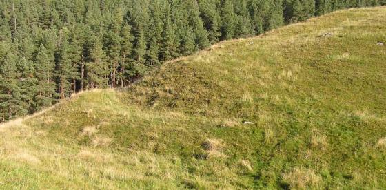 Torran Ban (Hillfort)