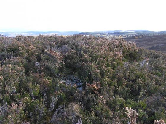 Breakachy Burn (Kerbed Cairn)