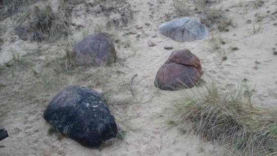 Nebel 1 (Long Barrow)