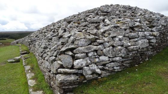 Grey Cairns of Camster (Cairn(s))