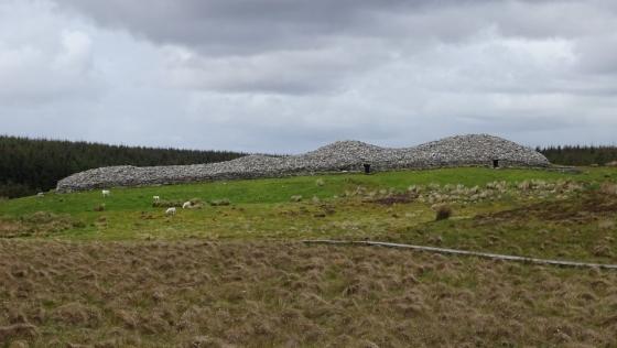 Grey Cairns of Camster (Cairn(s))
