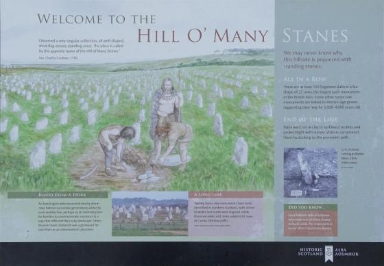 Hill O’Many Stanes (Multiple Stone Rows / Avenue)