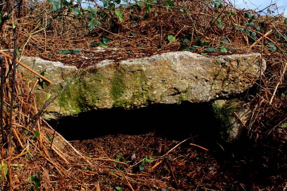 Nicholaston long cairn (Burial Chamber)