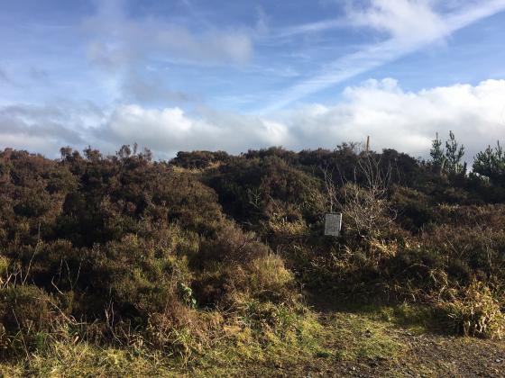 Corraweelis (Cairn(s))