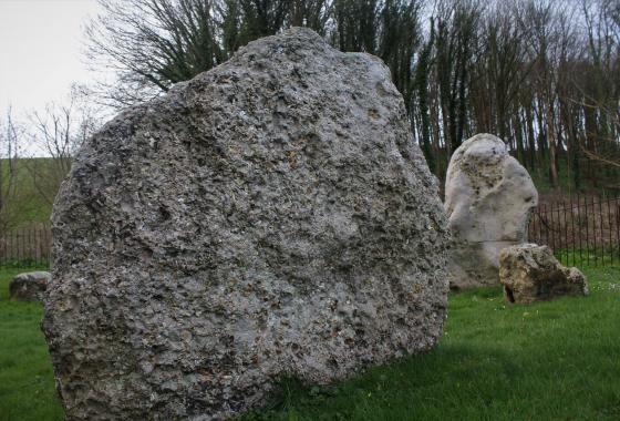 The Nine Stones of Winterbourne Abbas (Stone Circle)