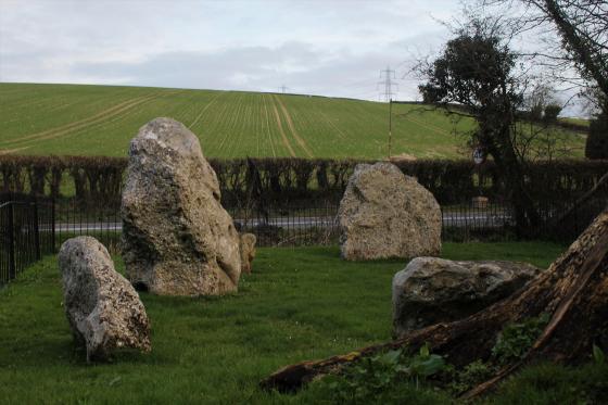 The Nine Stones of Winterbourne Abbas (Stone Circle)