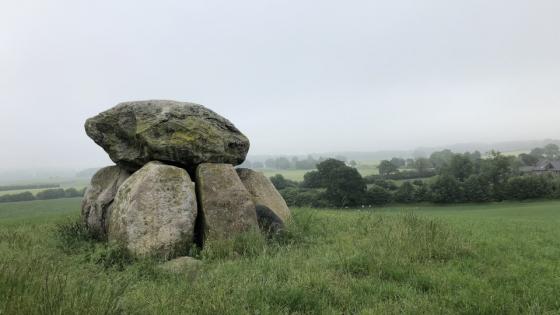 Goosefeld 4 (Dolmen / Quoit / Cromlech)