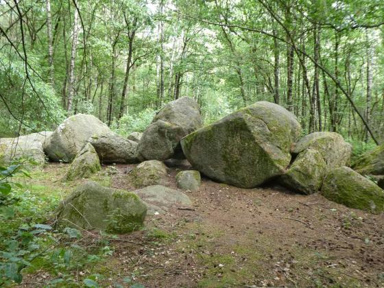 Hohe Steine, Wildeshausen