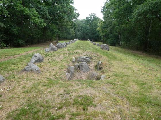 Visbeker Braut (Long Barrow)