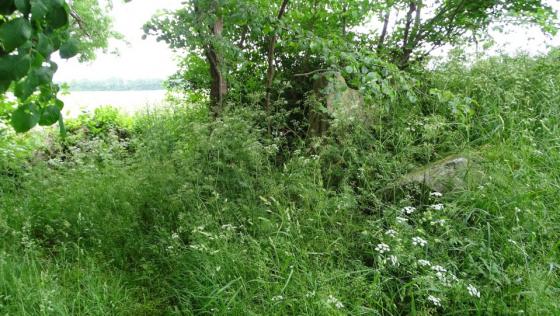 Lehbek (Long Barrow)