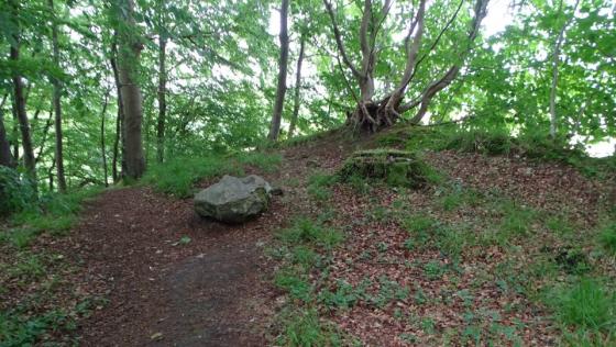 Glücksburg 06 (Chambered Tomb)