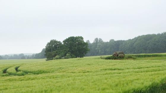 Rothenstein (Burial Chamber)