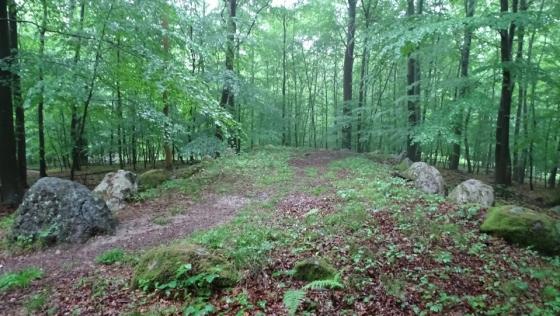 Rehbergholz 1 (Long Barrow)