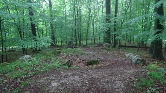 Rehbergholz 1 (Long Barrow)