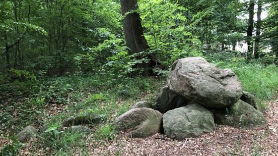 Albersdorf 8 (Burial Chamber)