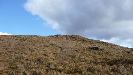 Strath Polly (Stone Fort / Dun)