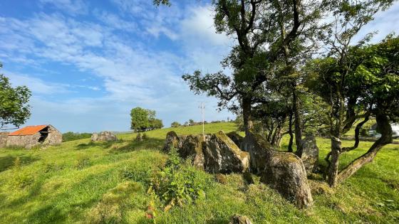 Ballyreagh (Court Tomb)
