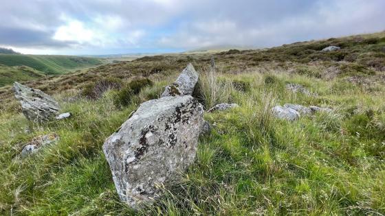 Ballyvennaght (Wedge Tomb)