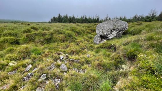 Ballyvennaght (Portal Tomb)