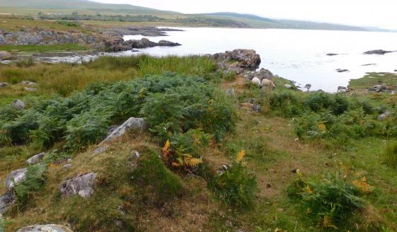 Ardmenish (Promontory Fort)