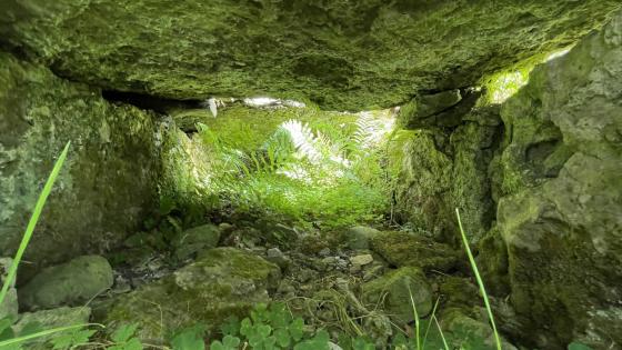 Aghnacally (Wedge Tomb)