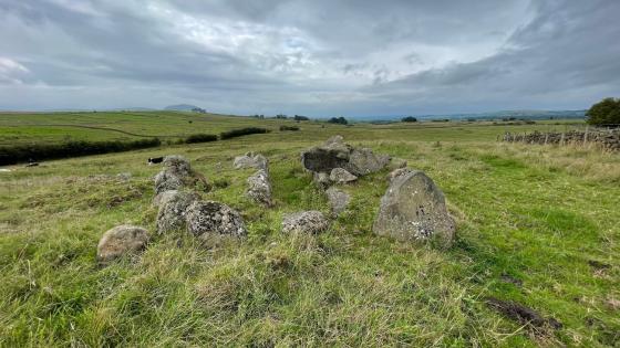 Tamybuck (Wedge Tomb)