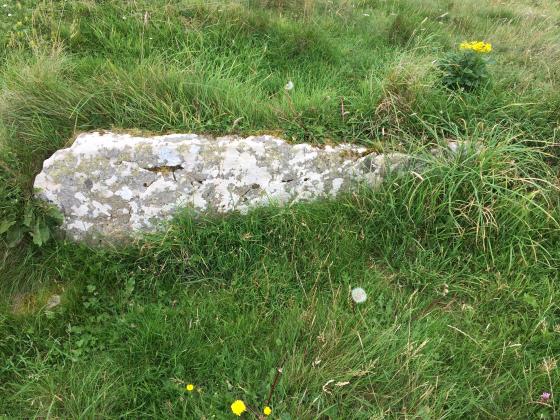 Cnoc Freiceadain (Chambered Tomb)