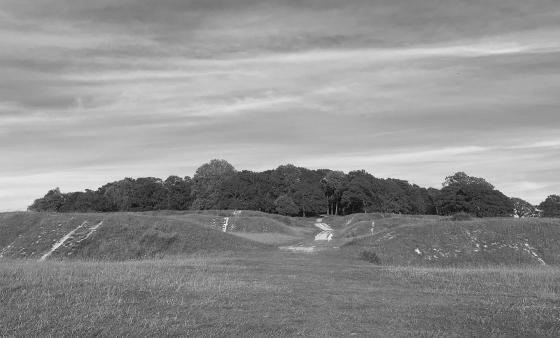 Badbury Rings (Hillfort)